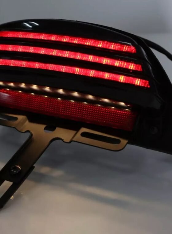 LED tail light and plate mount for selected Dyna and Softail models