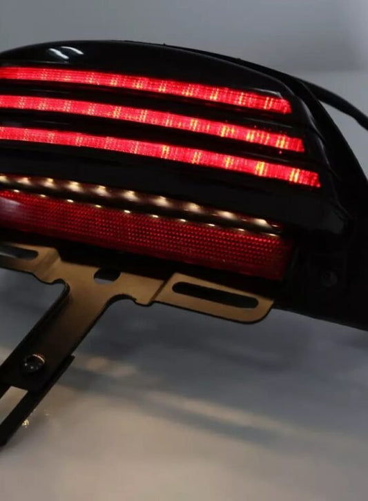 LED tail light and plate mount for selected Dyna and Softail models