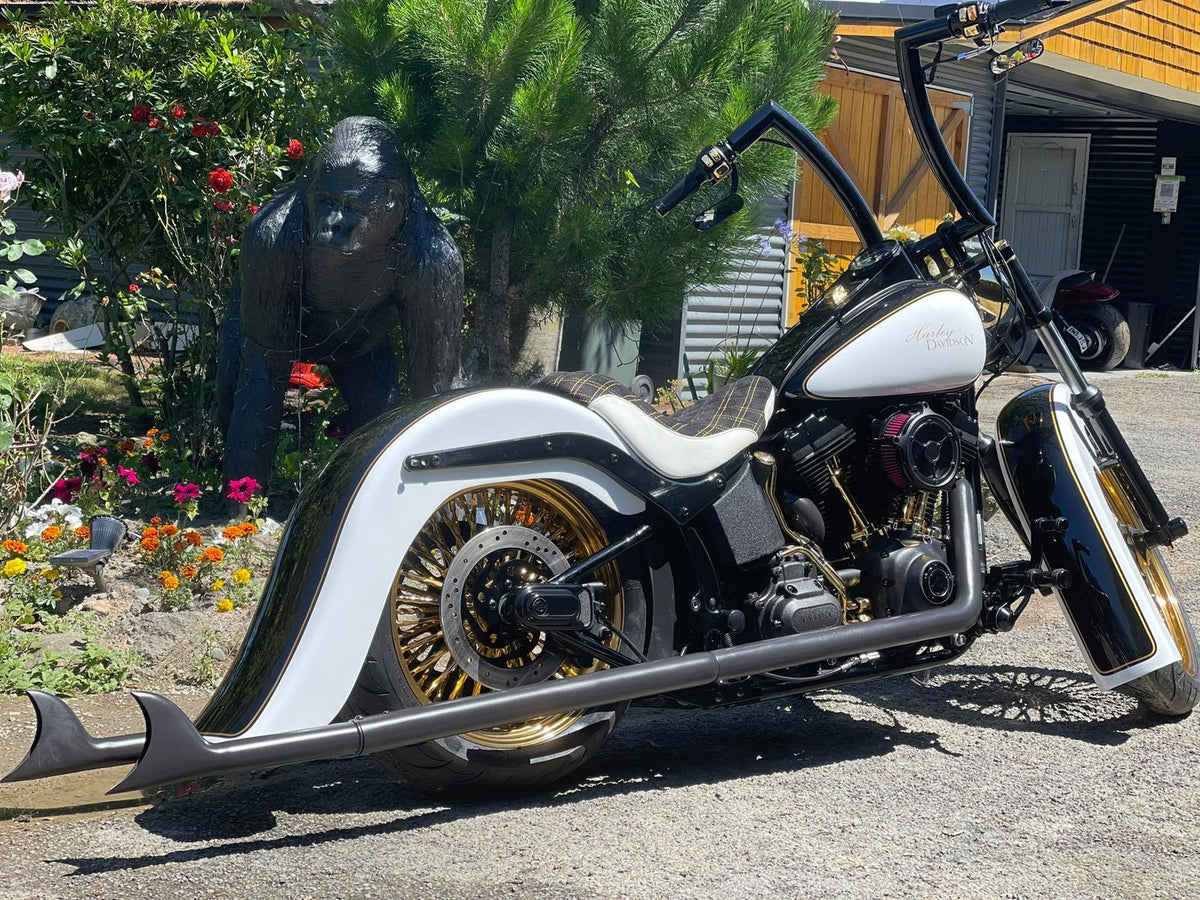 2009 HARLEY DAVIDSON Night Train SOLD!!!