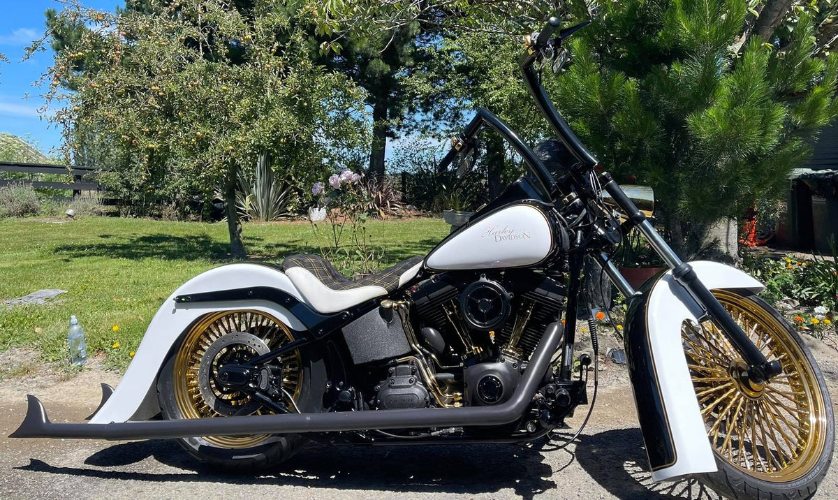 2009 HARLEY DAVIDSON Night Train SOLD!!!