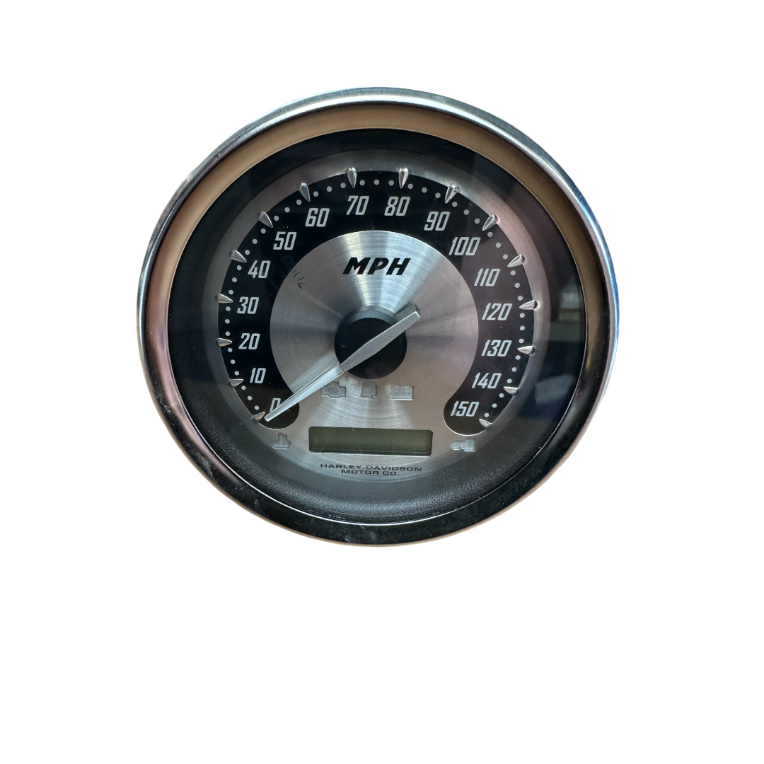 Speedo - Scream Eagle Vrod