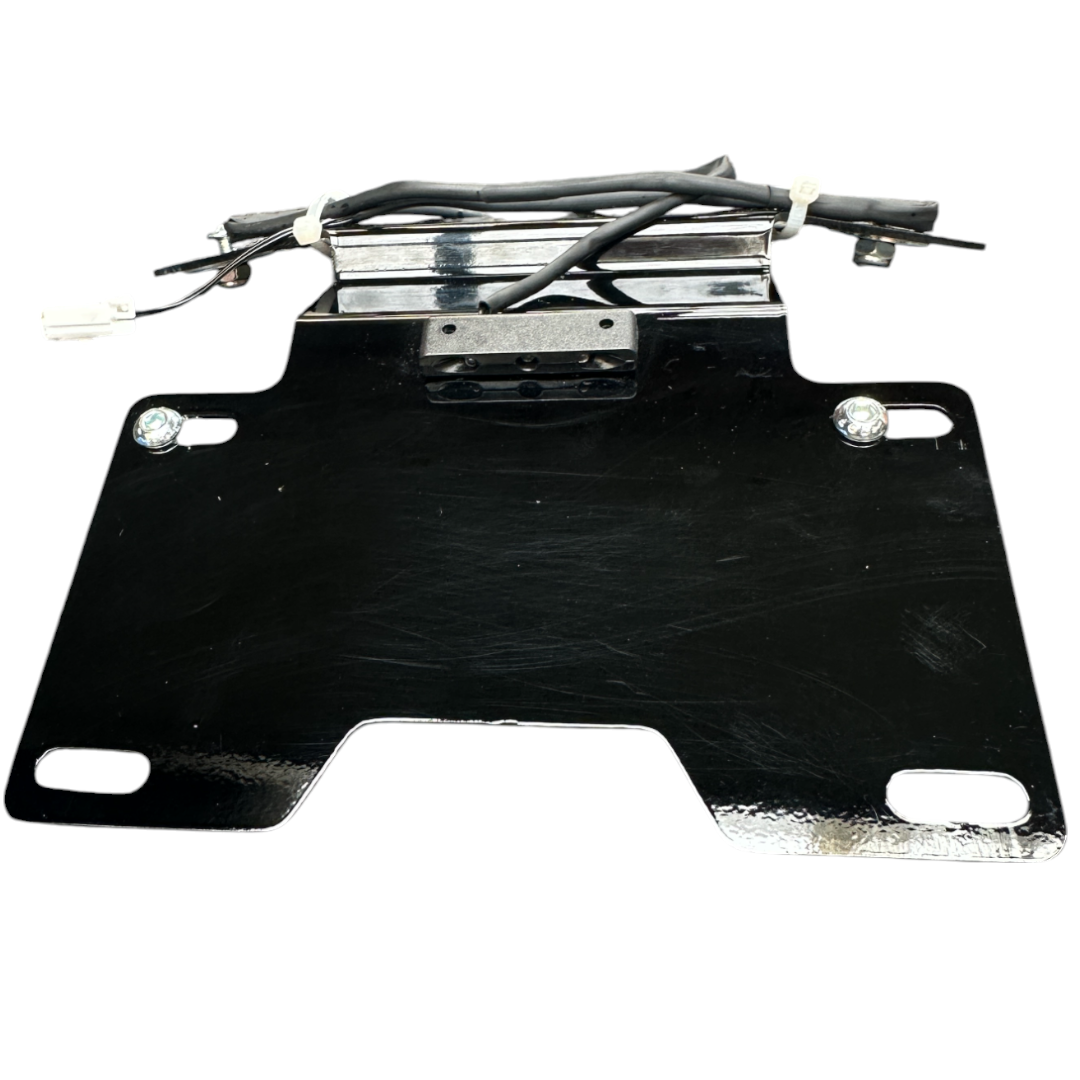 Muscle Plate Mount with Plate Light