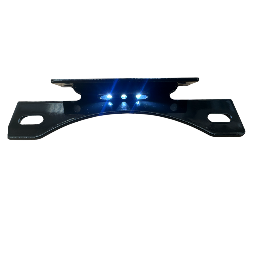 Plate Mount with Plate Light - Vrod
