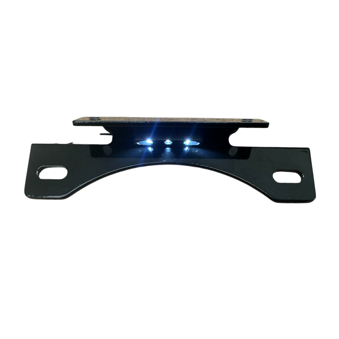Plate Mount with Plate Light - Vrod