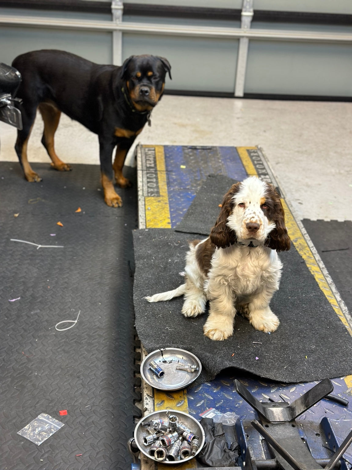Bonnie and Clyde at LKTRAZ Motors