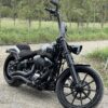 apes on softail 2