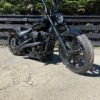 hb.apes.16 inch softail