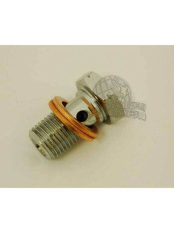 Brake Banjo Bolt  10mm 1.0  Chrome